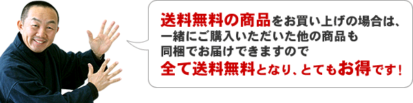 送料無料!同梱OK!