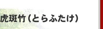 �Ք��|