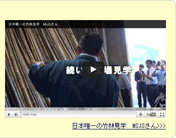 日本唯一の虎竹林案内