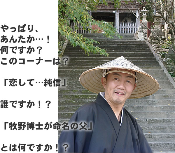 やっぱり、あんたか