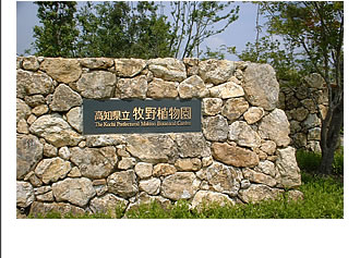 牧野植物園