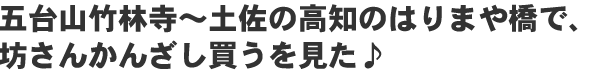 五台山竹林寺