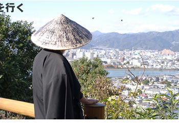 純信
