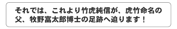 竹虎純信が牧野富太郎博士の足跡へ迫ります!