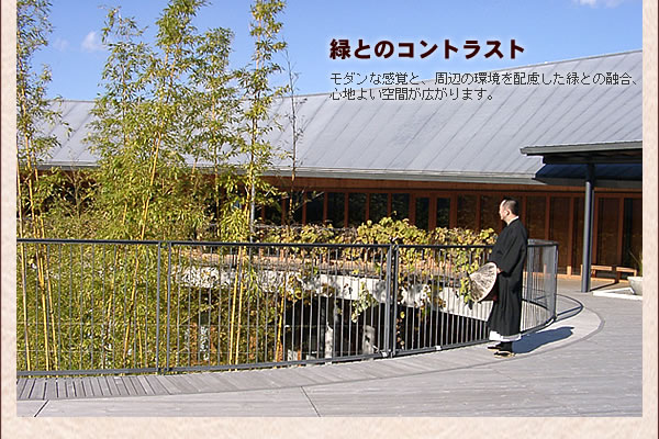 緑とのコントラスト