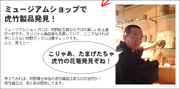 ミュージアムショップで虎竹製品発見