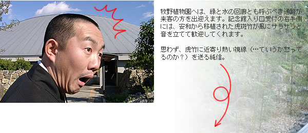 虎竹に近寄る