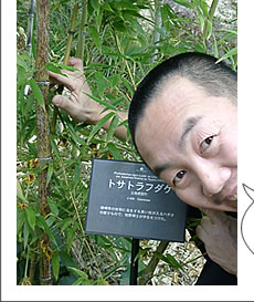 是非ご覧下さい