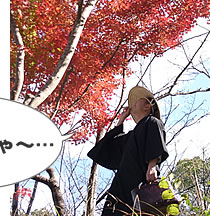 なつかしいにゃ〜
