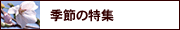 季節の特集