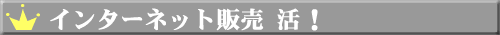 �C���^�[�l�b�g�̔� ���I