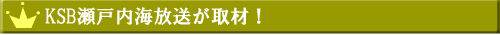 KSB���˓��C����