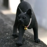 �Y�̃A�r�V�j�A��