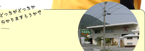 �ǂ������ǂ�����������܂��낤���H