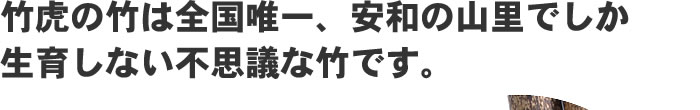 �|�Ղ̒|�͑S���ŗB��A���a�̎R���ł������炵�Ȃ��s�v�c�Ȓ|�ł��B