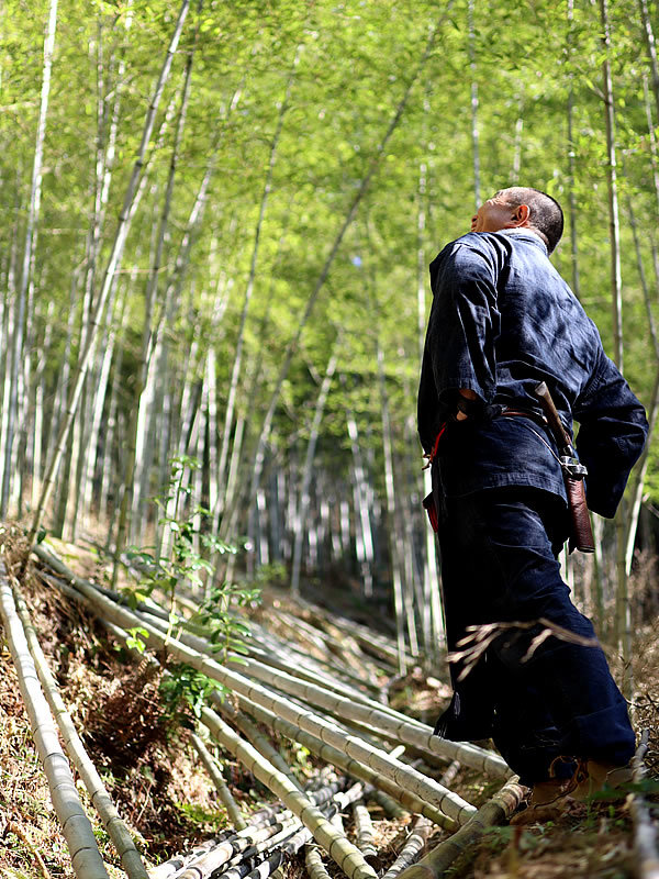 虎竹の林、竹虎四代目(山岸義浩)