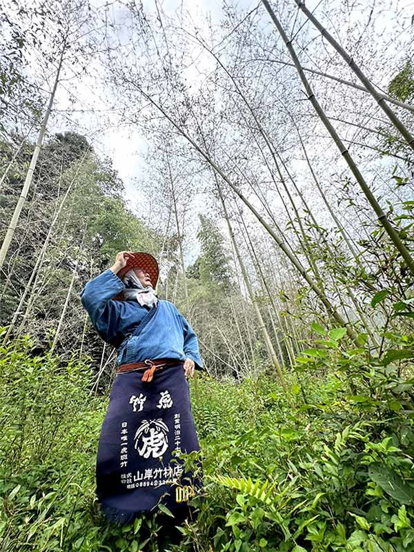 黒竹の竹林開花
