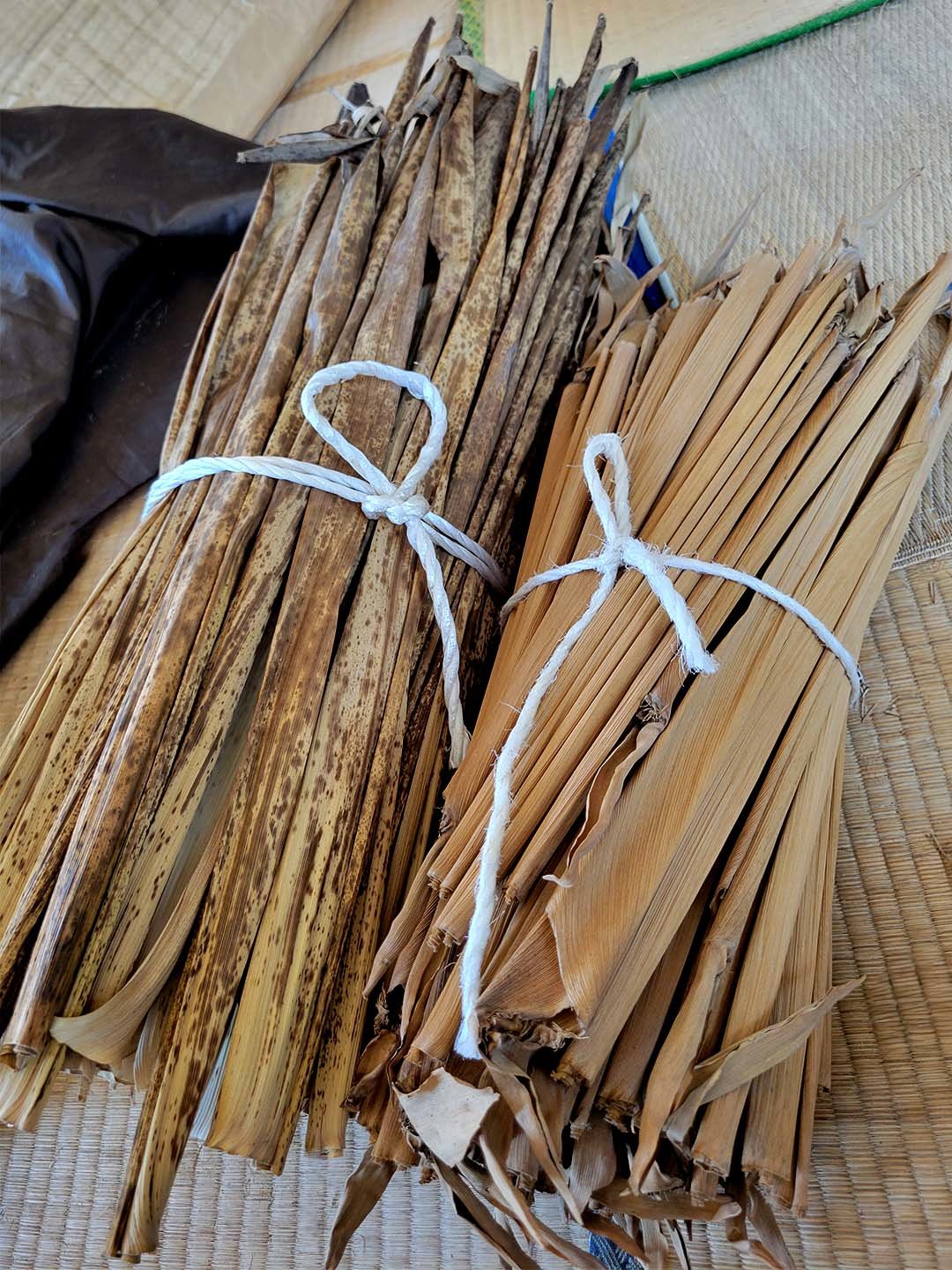 真竹、淡竹の竹皮