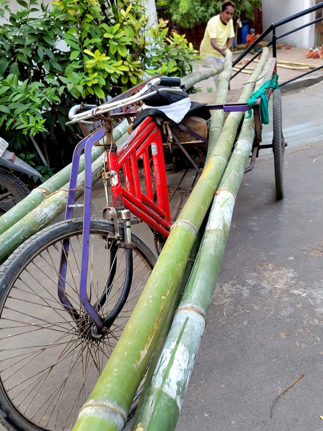 運ばれてきたインドの竹