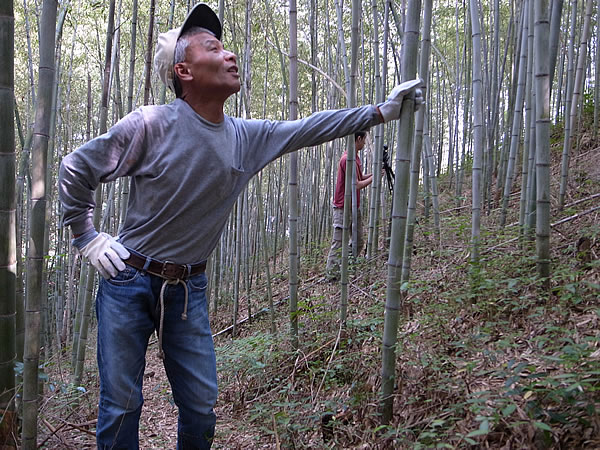 山の職人