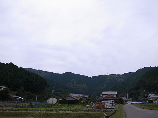 雨模様虎竹の里