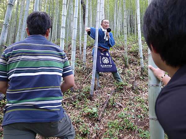 虎竹林