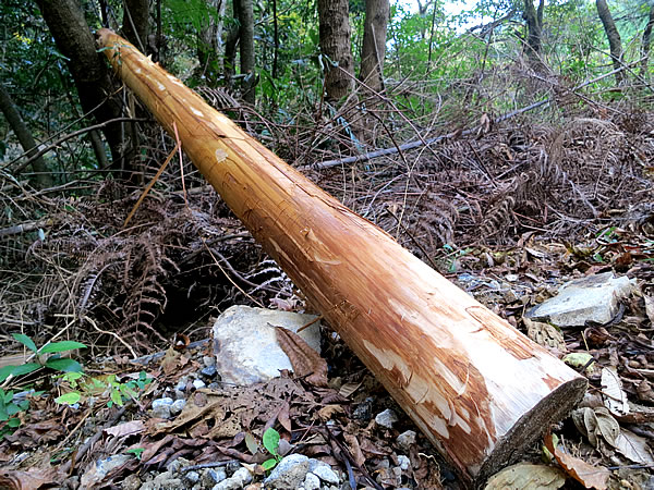 竹の枕木