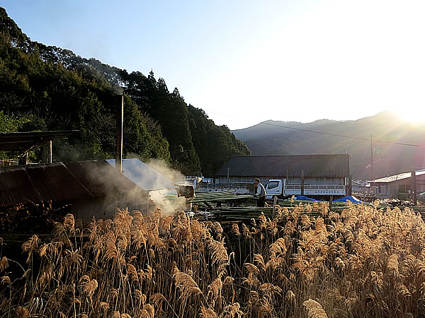 虎竹の里の夕日