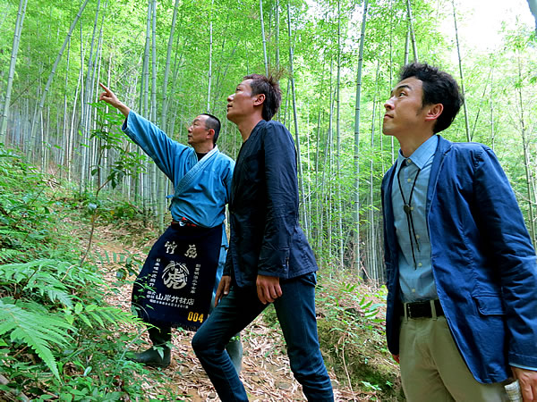 日本唯一の竹林