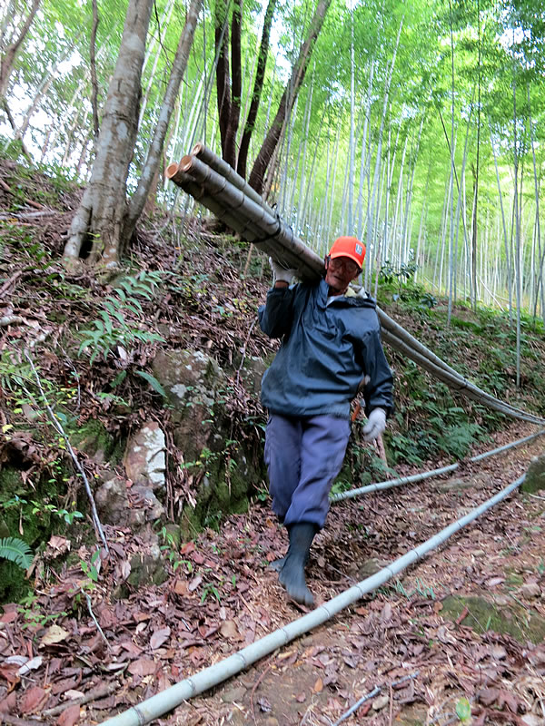 虎竹山出し