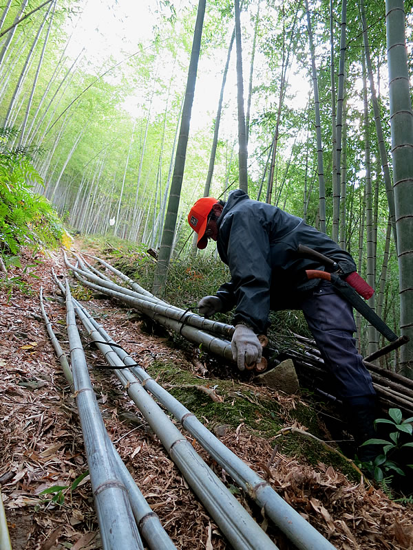 竹林の職人