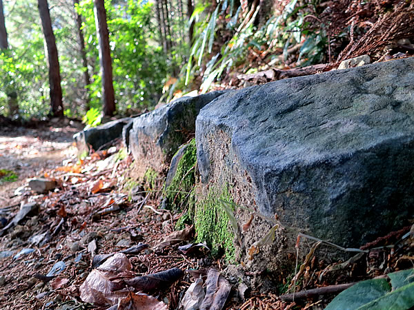 日本唯一虎竹の古里焼坂の山道