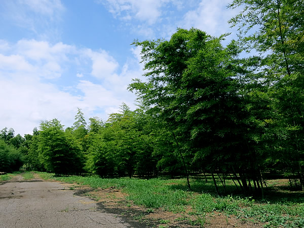 若山農場