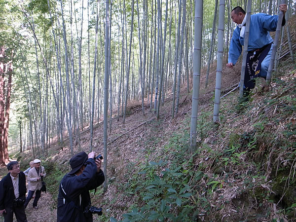 虎竹林