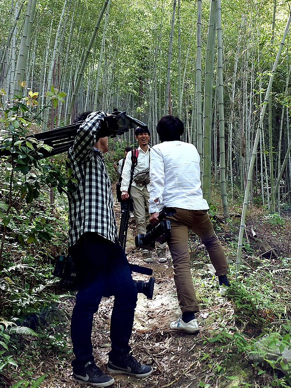 虎竹の里の山道