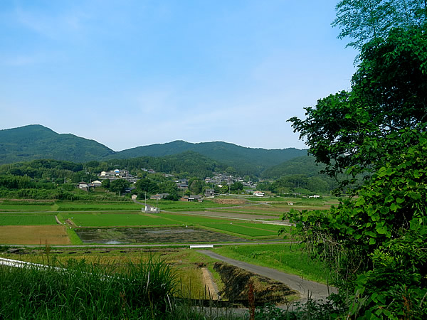 日置の山