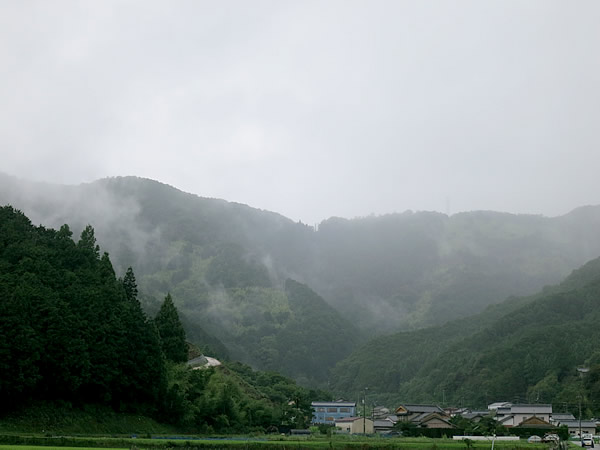 嵐の虎竹の里