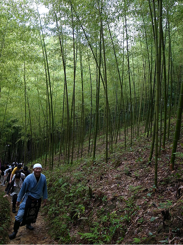 虎竹の里の山道