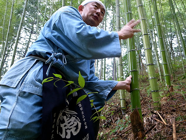 日本唯一虎竹の里にて竹虎四代目