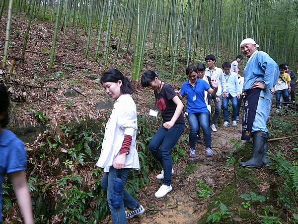 竹林からの帰り道