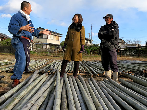 虎竹選別