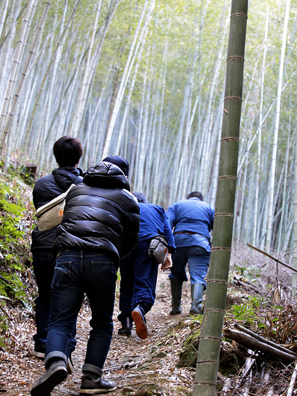 虎竹の里の山道