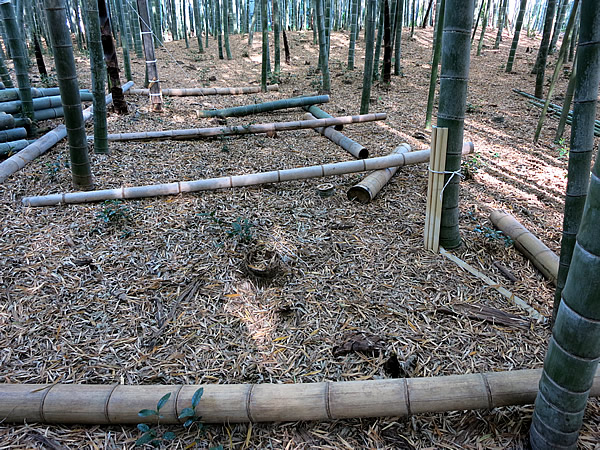 竹材置き場
