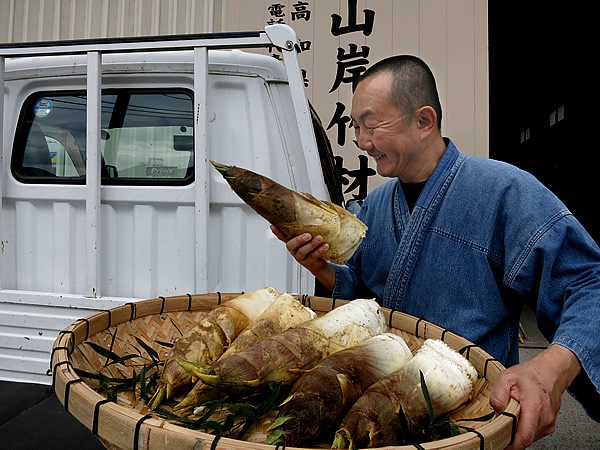 京都の筍