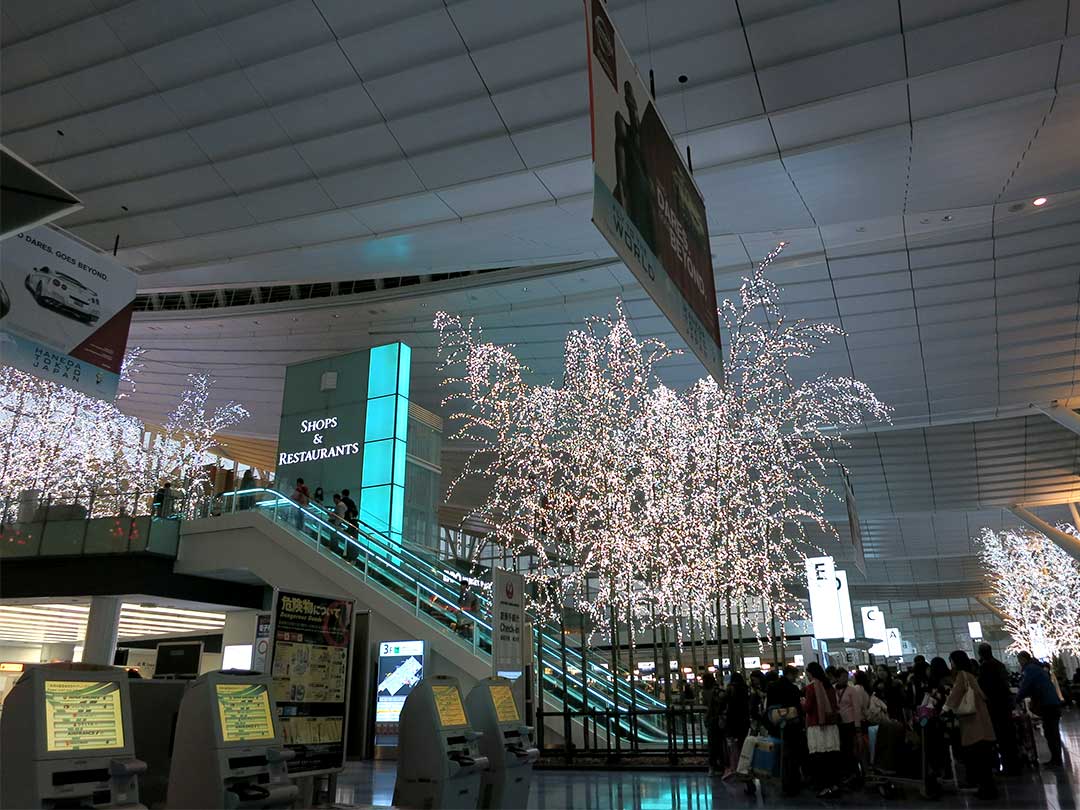 羽田国際空港の竹イルミネーション