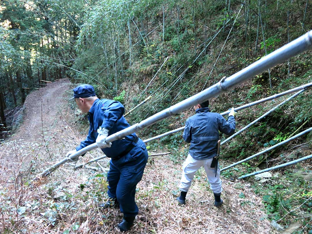 虎竹山出し