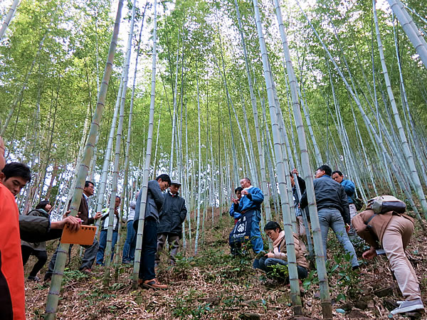 竹林景観ネットワーク第17回研究集会、虎竹の里