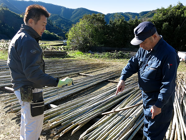 虎竹選別作業