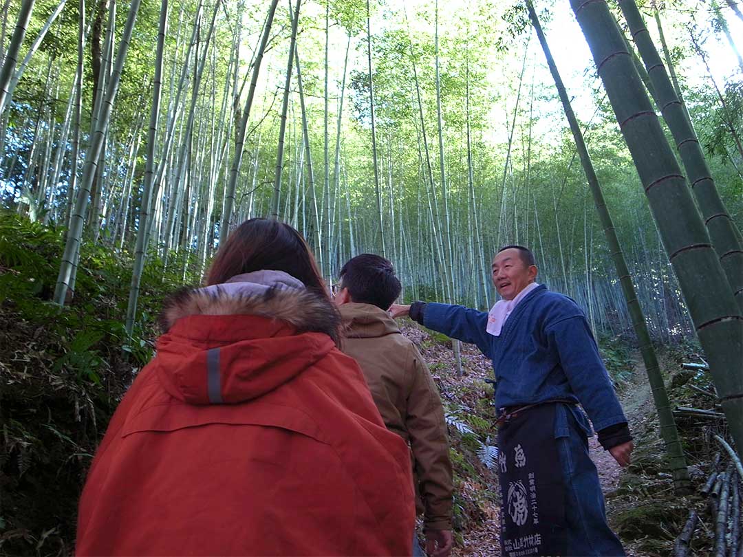 虎竹の竹林Tiger Bamboo