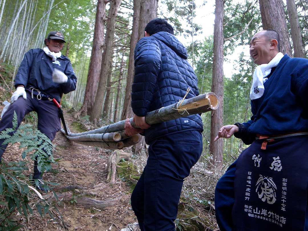 長尾寛己さん、竹虎四代目（Tiger Bamboo）